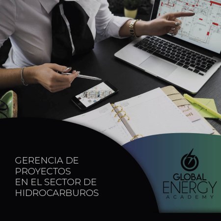 Gerencia de Proyectos en el Sector de Hidrocarburos